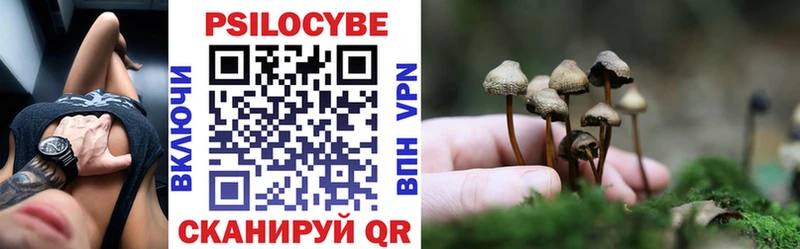 купить наркотики сайты Нижние Серги дарк нет состав Псилоцибиновые грибы ЛСД